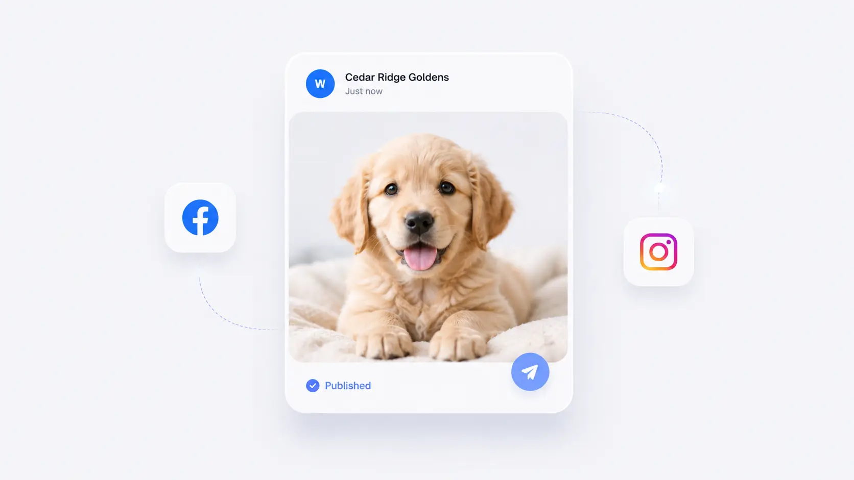 A puppy post published automatically to Facebook and Instagram