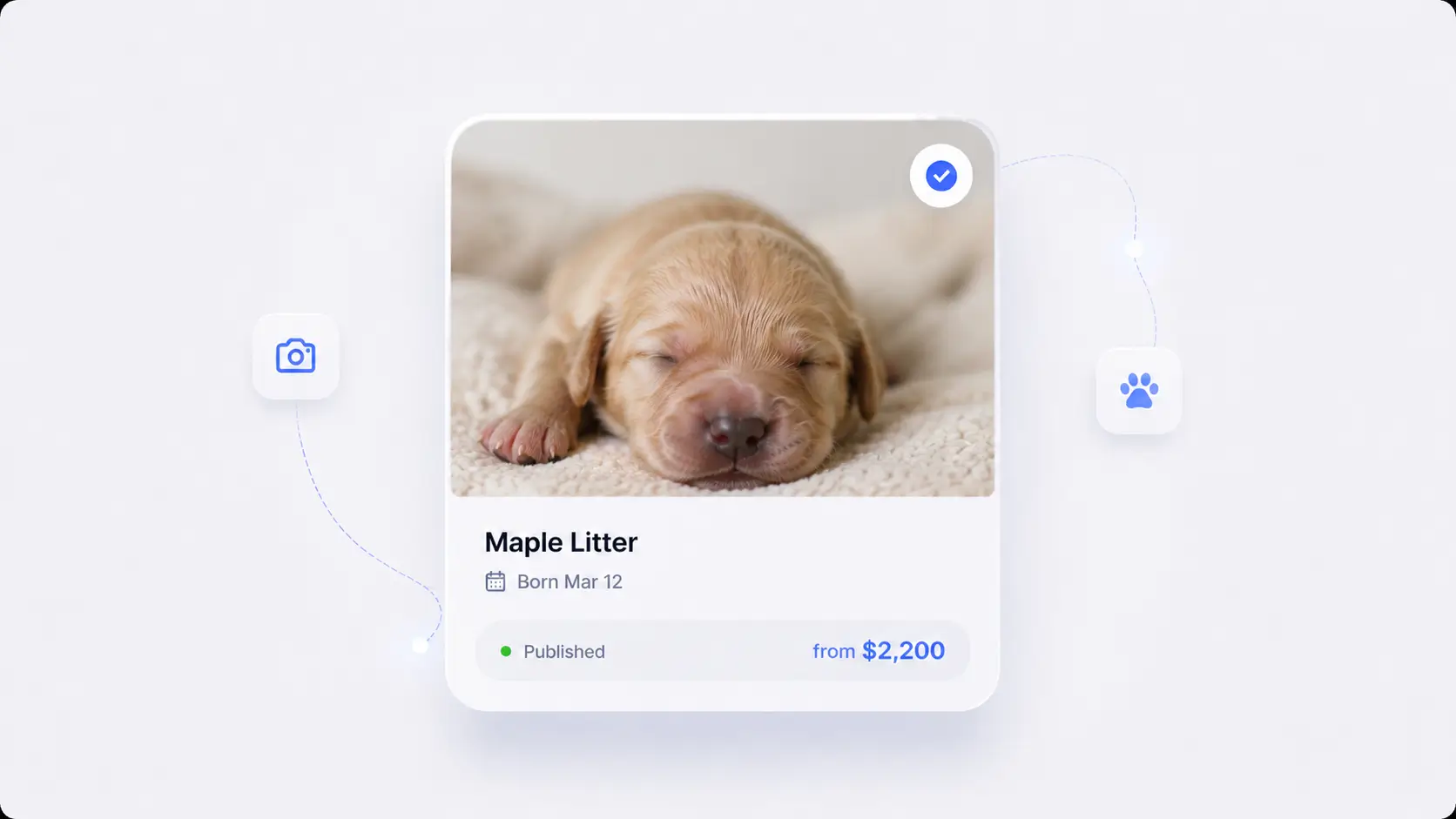 A published litter card with a sleeping newborn golden puppy, born date, and starting price