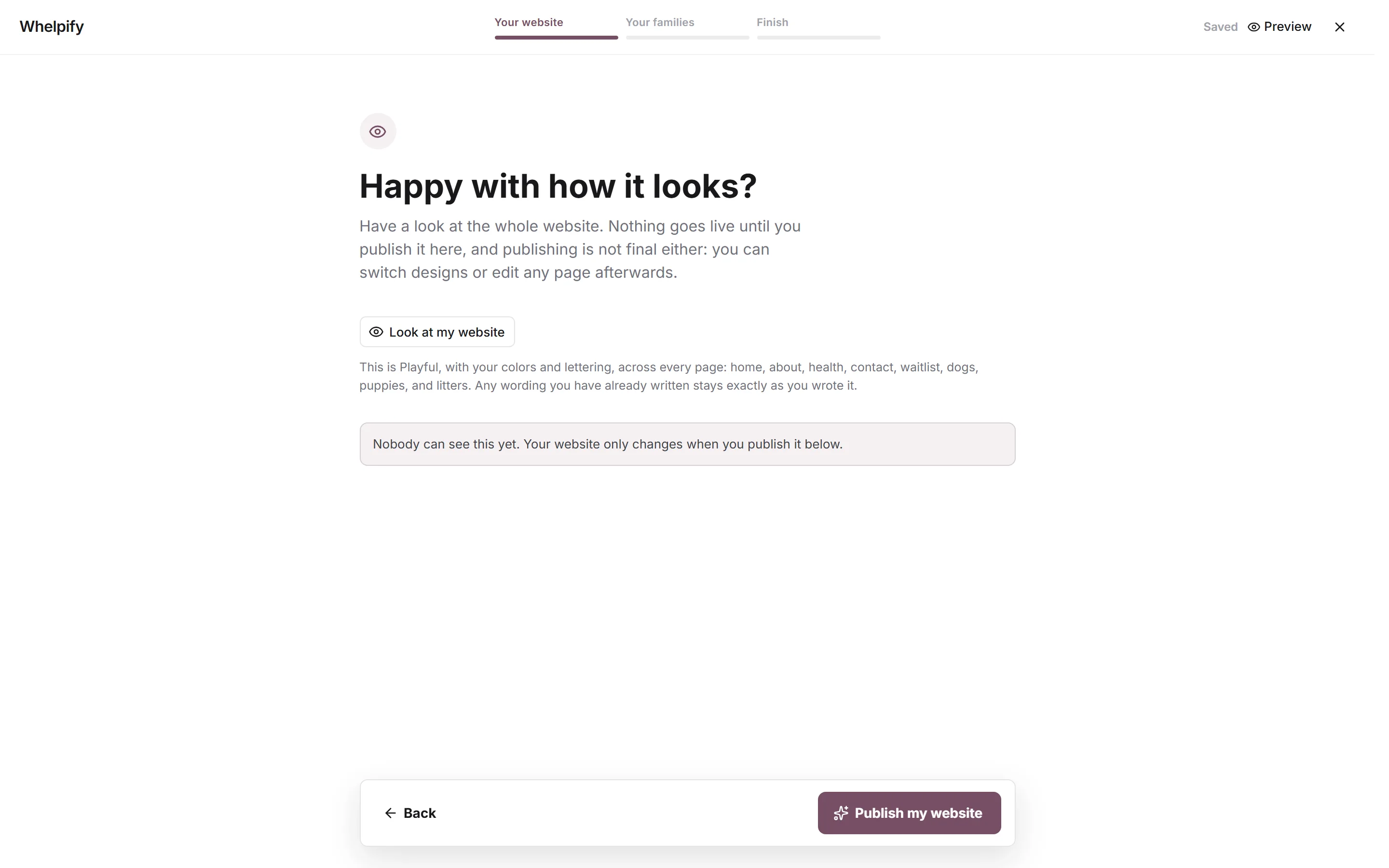 The setup wizard on the design review step, with the three chapter progress bars at the top, a Look at my website button, and the Publish my website button at the bottom