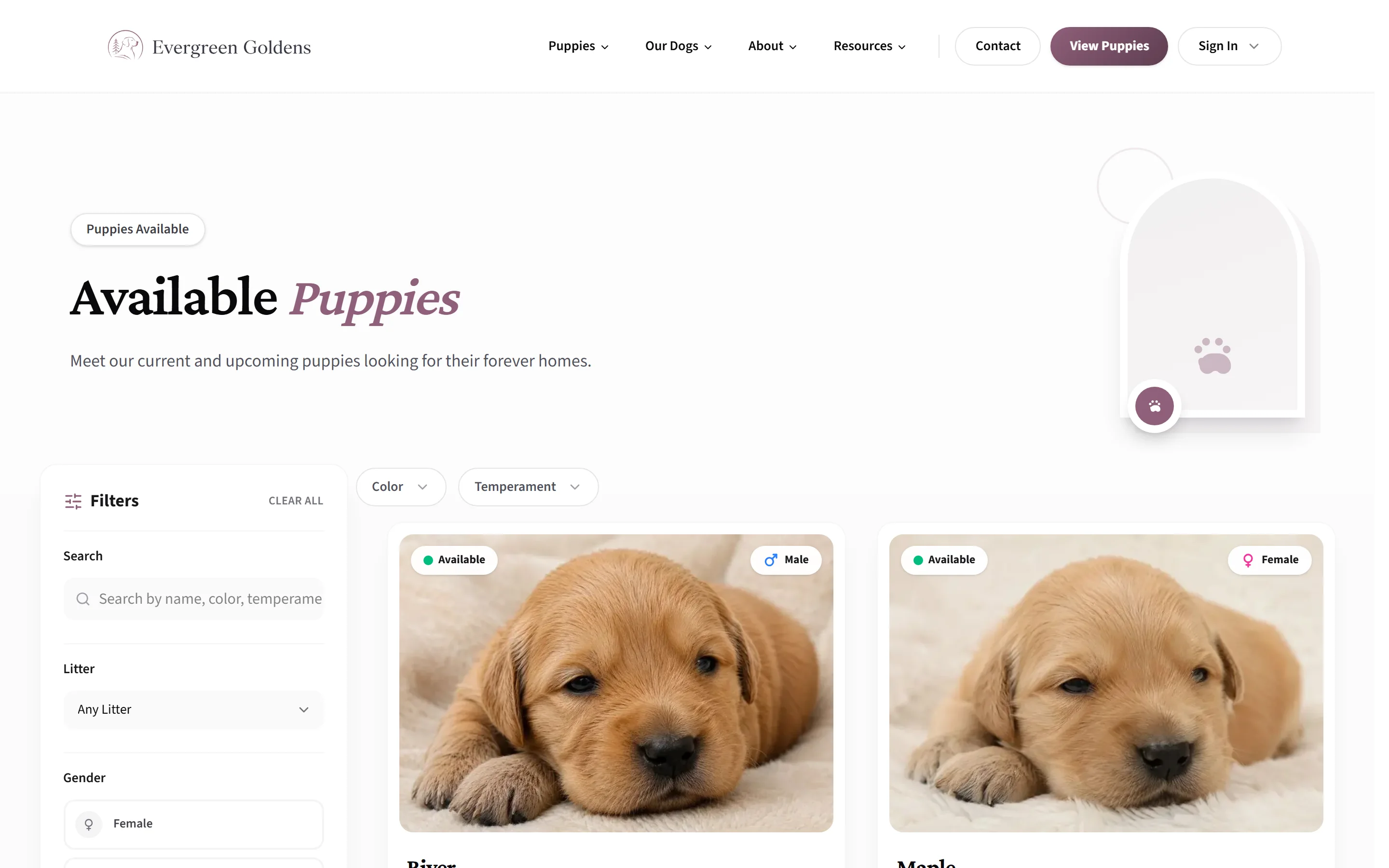 The puppies page on a breeder site